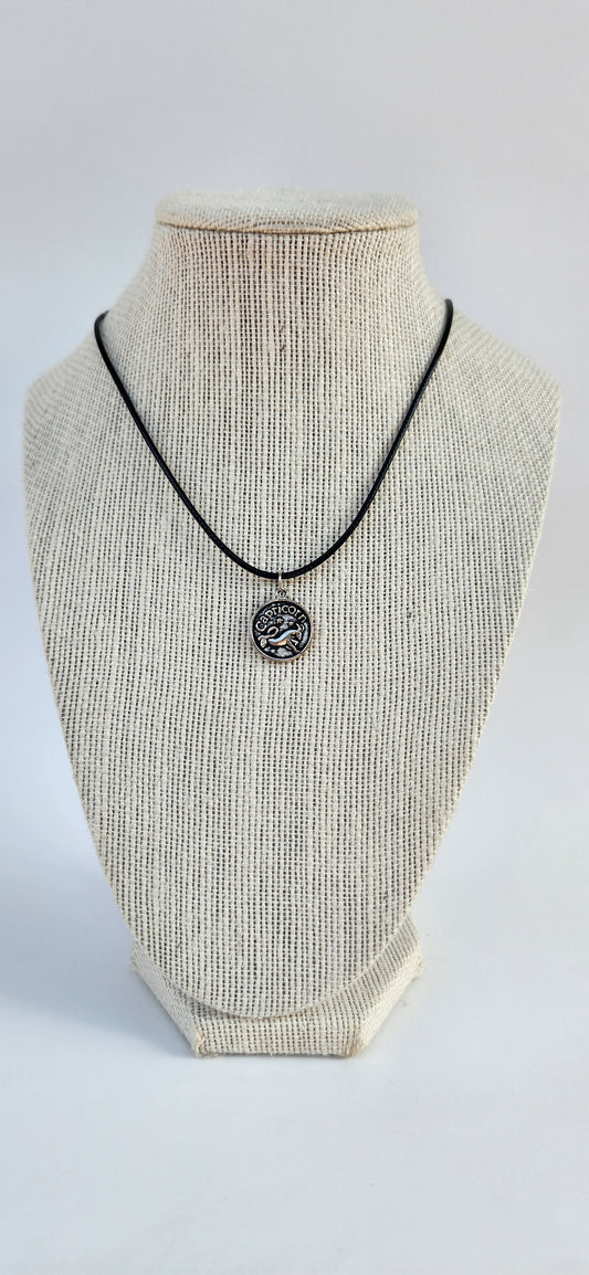 Capricorn Zodiac Necklace image 0