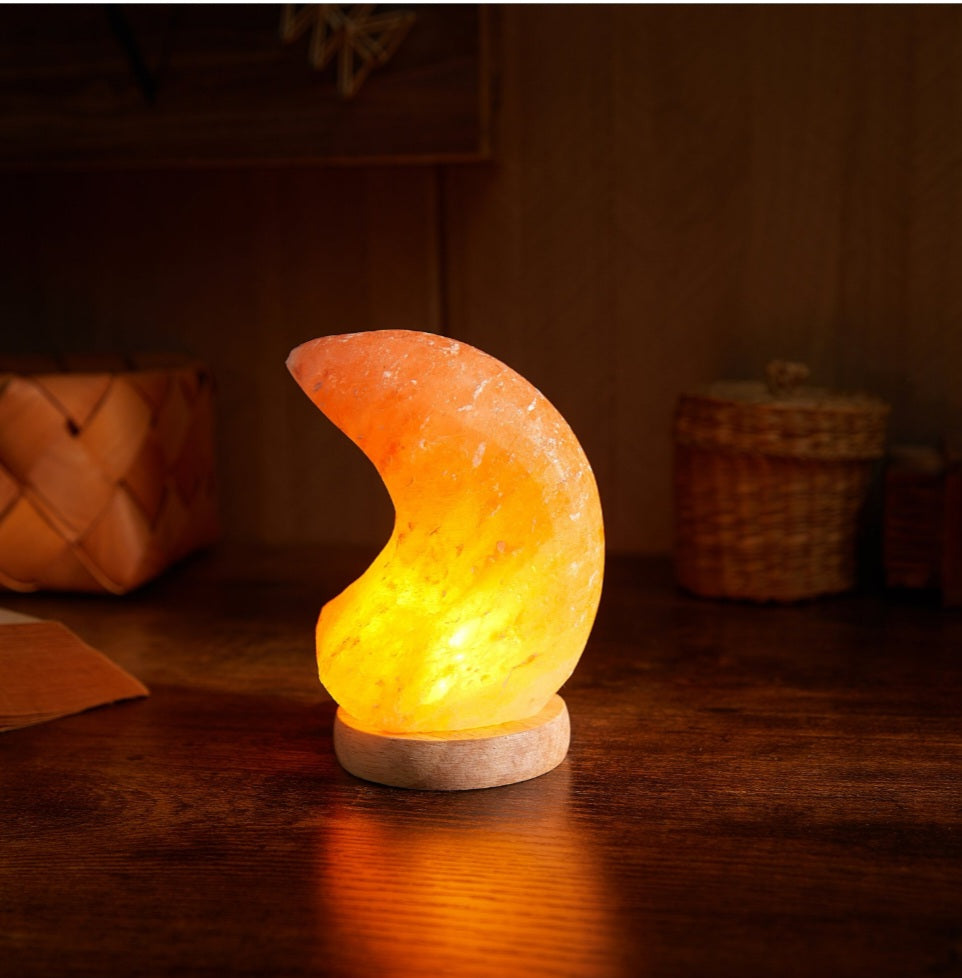 Mini Moon Himalayan Lamp image 0