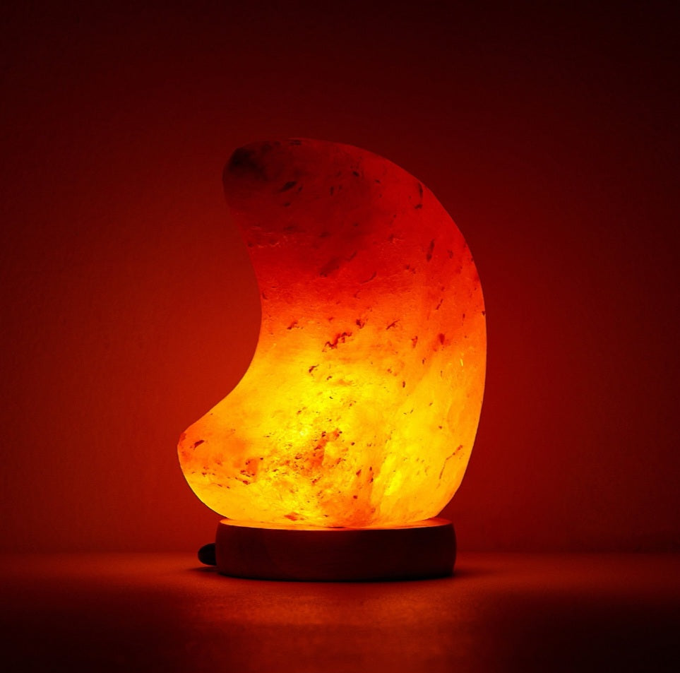 Mini Moon Himalayan Lamp image 1